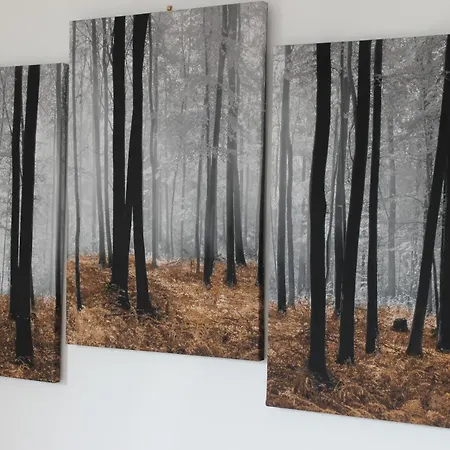 Oliver Wests Beautiful 1 Bedroom Retreat * スカーバラ