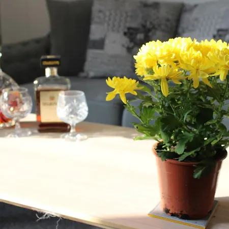 Oliver Wests Beautiful 1 Bedroom Retreat