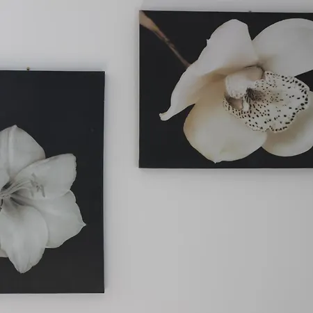 Lejlighed Oliver Wests Beautiful 1 Bedroom Retreat *